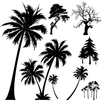 tree silhouettes vector