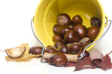chestnuts spilling out from a yellow bucket