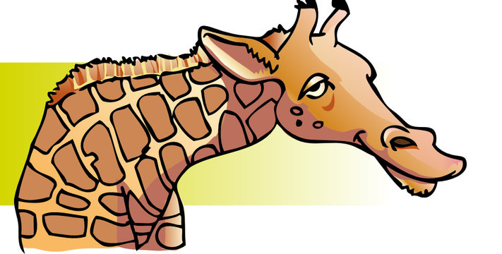 tete girafe