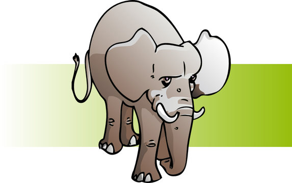 elephant en pied