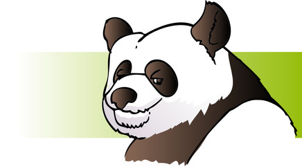panda