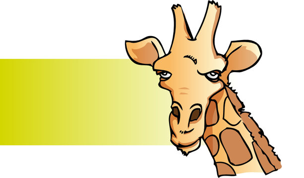 girafe