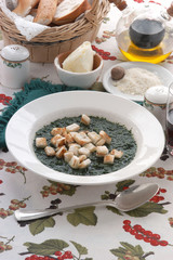Zuppa di spinaci - Primi piatti - Cuina tipica Emilia Romagna