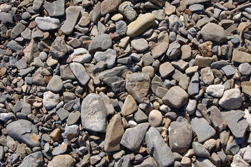 nature textured backgrounds