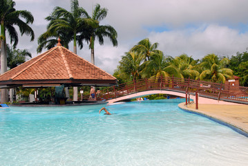 Piscine tropicale 3