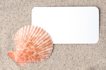 Vacation memories from beach