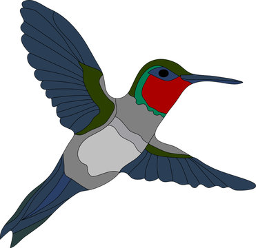 recommend clip art: vector - hummingbird isolated on white background
