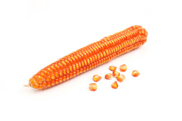 corn