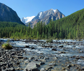 Obraz premium Mountain Altai. The river Shavla.