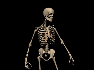 skeleton