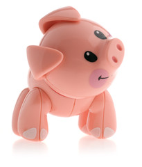 Fototapeta premium pig