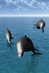 Foto op Plexiglas Drie dolfijn © Olga Galushko