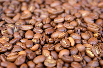 coffee beans