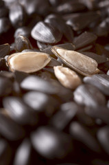 Three Pure Sunflower Seeds