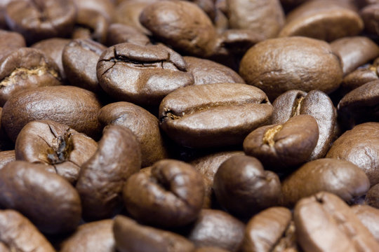 coffee beans