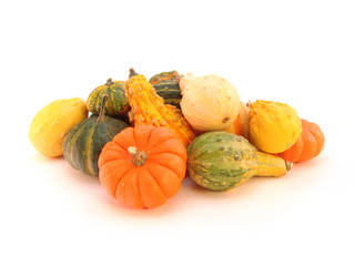 gourds