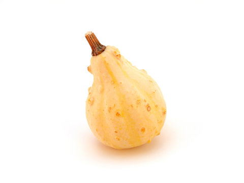 gourds