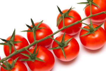 tomatoes