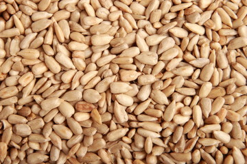 sunflower seed backgrounds