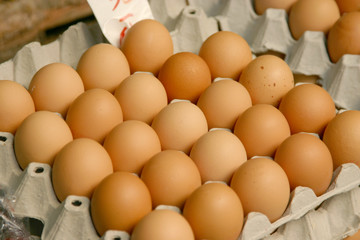 Rows of eggs for sale