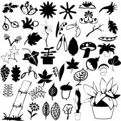 collection of difference plant vector