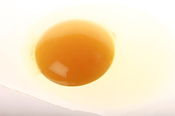 egg white and yolk