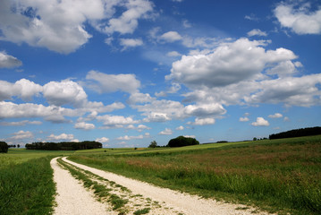 Fototapeta premium Countryside