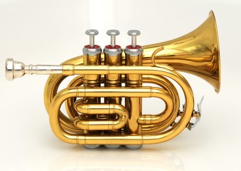 Obraz na płótnie Canvas Trumpet kieszonkowy 2