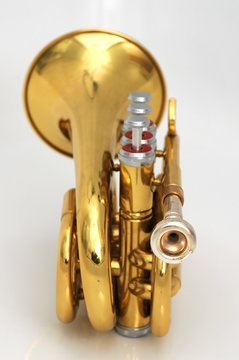 Taschentrompete 1