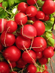 Radishes