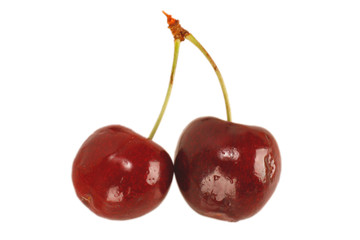 Kirsche - sweet Cherry