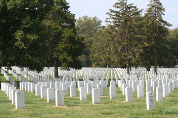 Fototapeta na wymiar cementerio