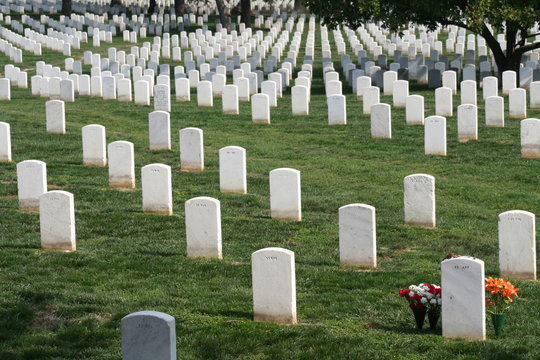 cementerio con flores en una tumba