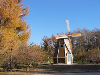 Windmill, autumn park scenery
