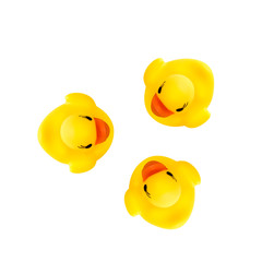 three rubber yellow ducks isolated on white