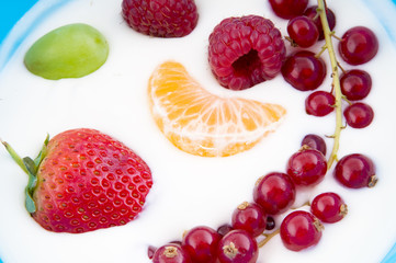 Yogurt with fruit