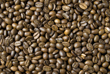 background from coffee beans