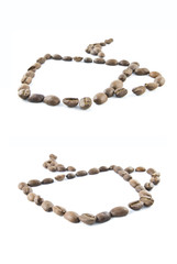 Coffee cup from coffee beans isolated on white