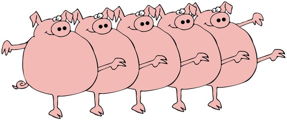 Pig Chorus Line