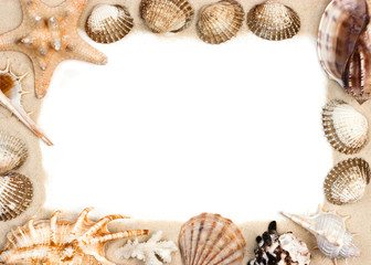 Shells on sand frame