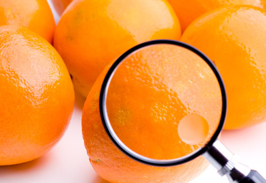 Orangen unter der Lupe