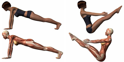 Muskelaufbau eines weiblichen Körpers beim Yoga