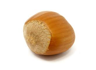 hazelnuts 4