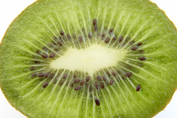 kiwi 7