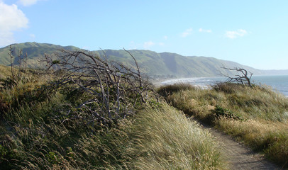 coastal views-Kapiti Coast2-New Zealand