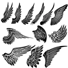 Fotobehang wings silhouette vector © Rada