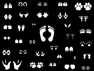 Footprints