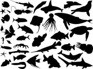 Sea world
