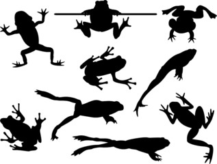 Frog silhouettes