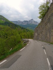 montée d'un col en chartreuse, dans les alpes